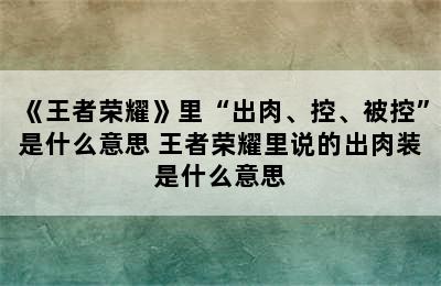 《王者荣耀》里“出肉、控、被控”是什么意思 王者荣耀里说的出肉装是什么意思